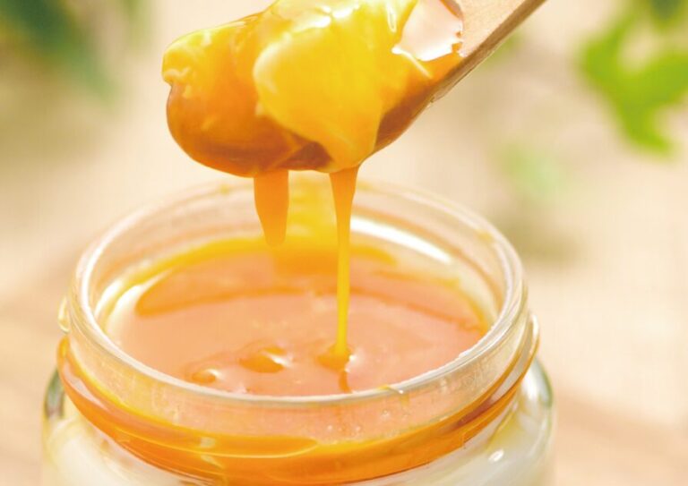 あおもりプリン工房