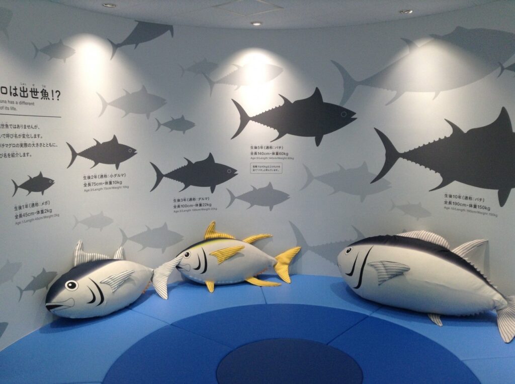 塩竈市魚市場（おさかなミュージアムSeri-miru）