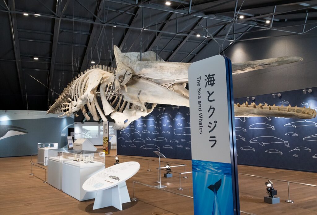 ホエールタウンおしか