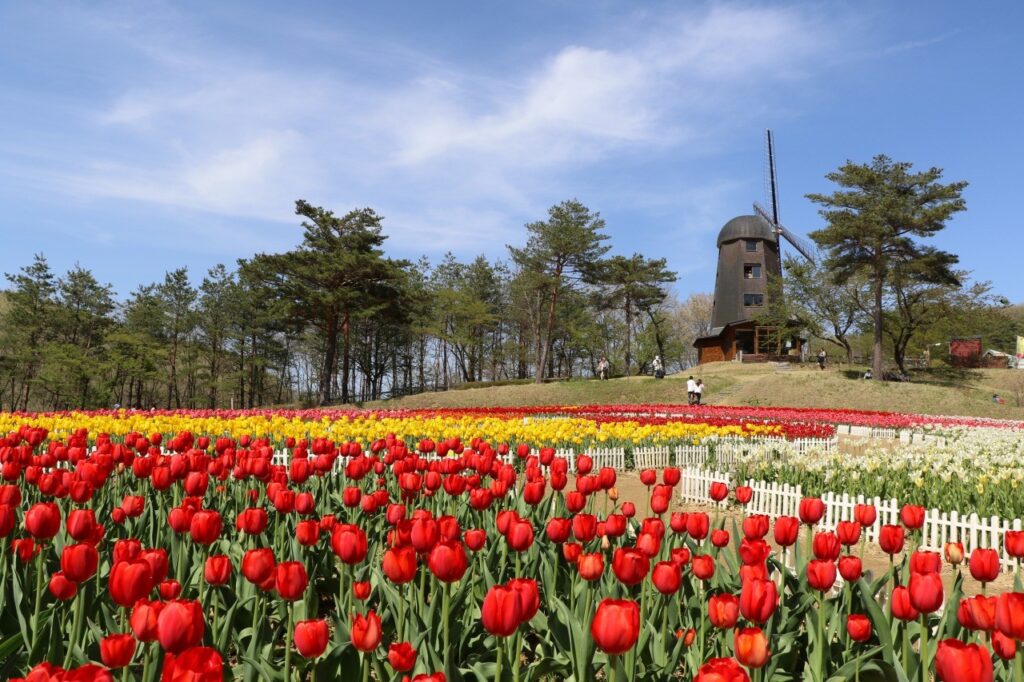 雪谷川ダムフォリストパーク・軽米