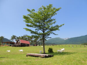 蔵王ハートランド