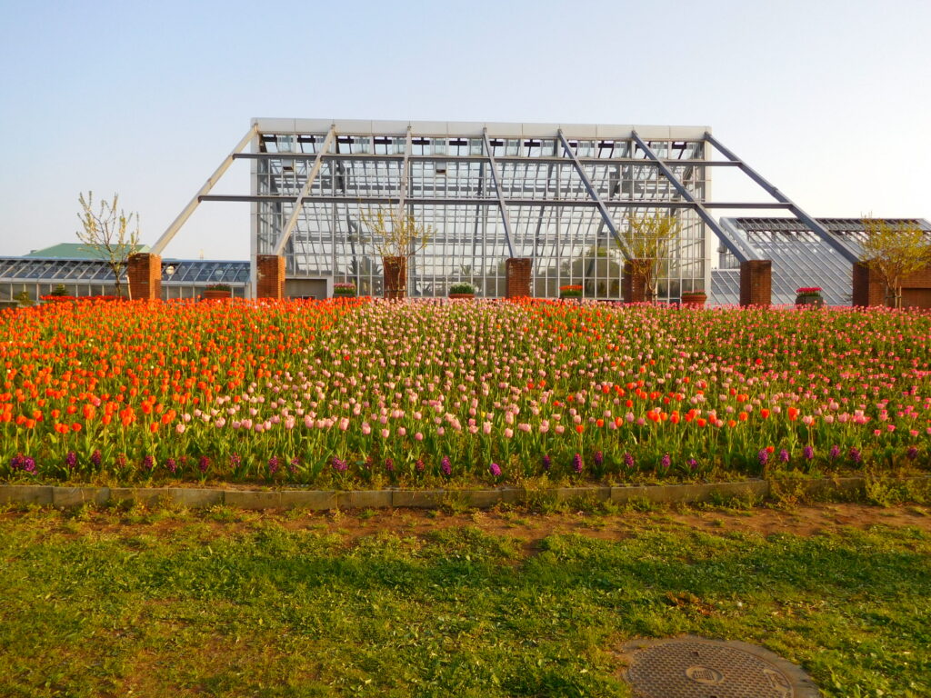 ブルーメッセあきた