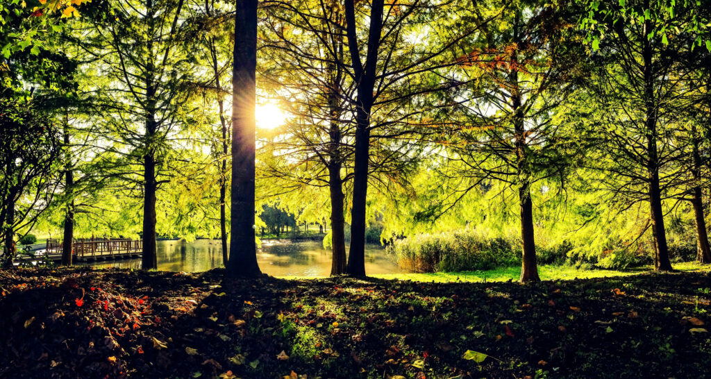 黒沢川せせらぎ公園