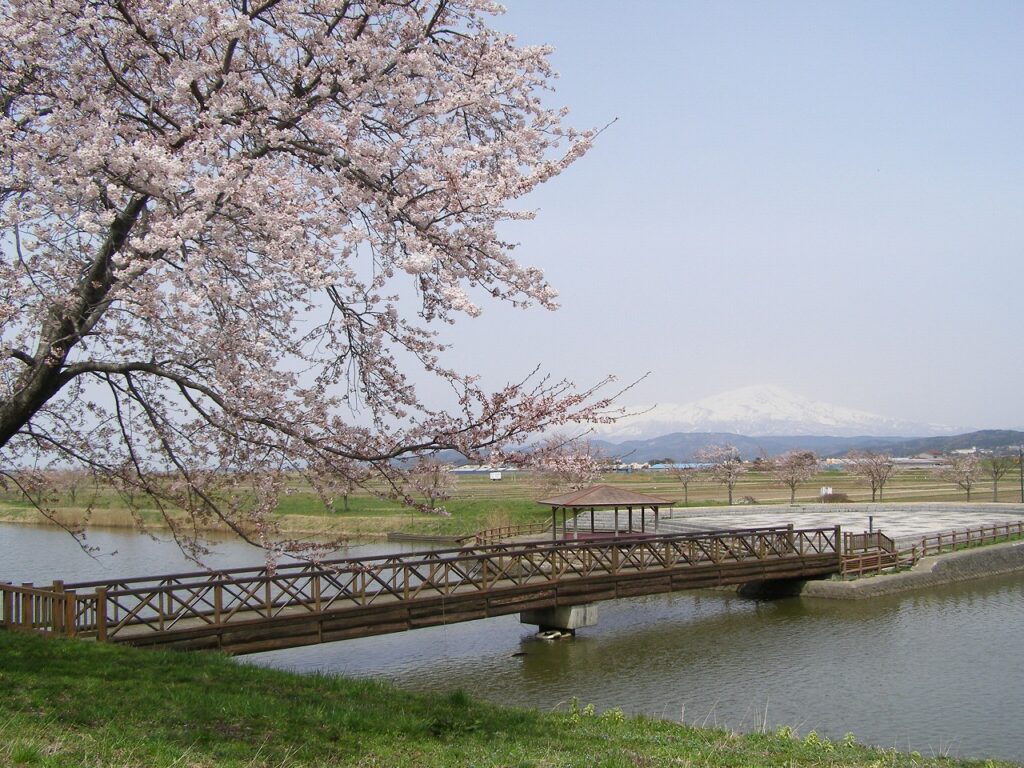 小出沼農村公園