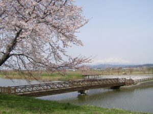 小出沼農村公園