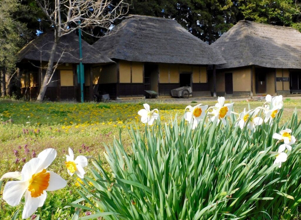 武家屋敷城内諏訪小路