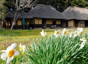 武家屋敷城内諏訪小路