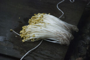 小野川豆もやし