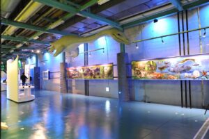 久慈地下水族科学館 もぐらんぴあ（もぐらんぴあ水族館）