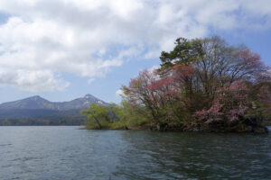 桜島
