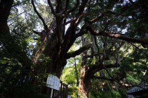 大悲山大蛇物語公園