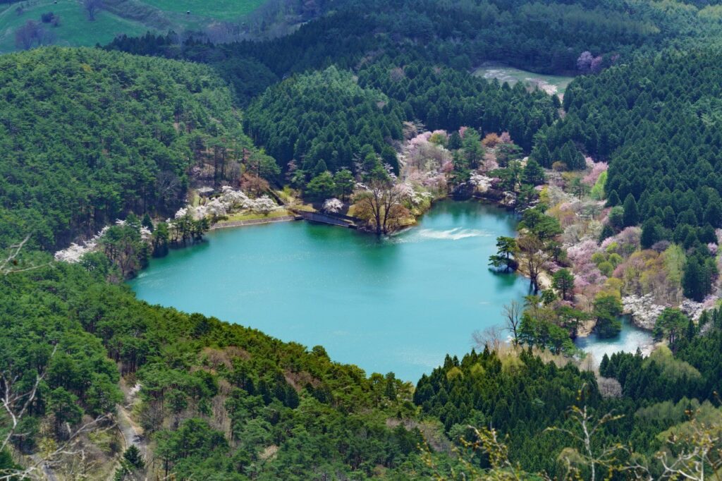 半田山自然公園