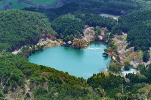 半田山自然公園