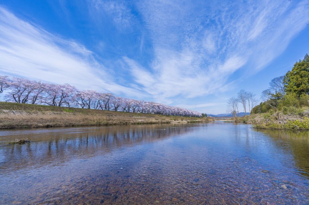 請戸川リバーライン