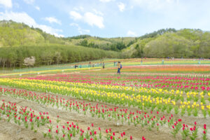 飯舘村フラワーガーデン