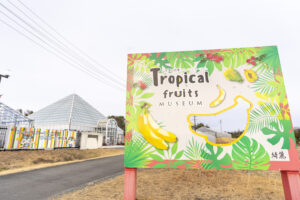 トロピカルフルーツミュージアム