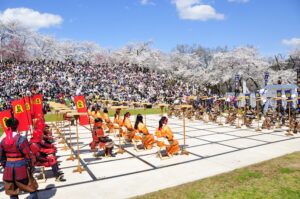 天童桜まつり 人間将棋