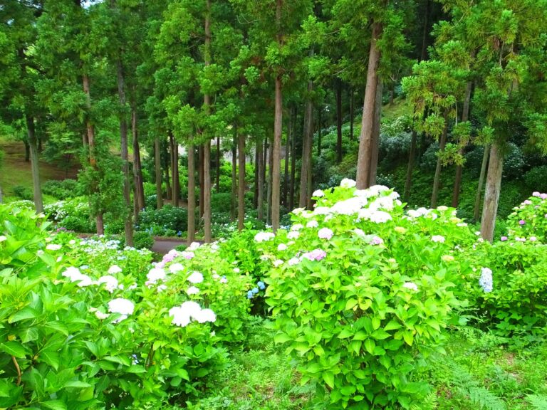 石岡市