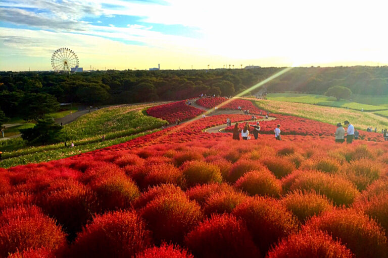 ひたちなか市