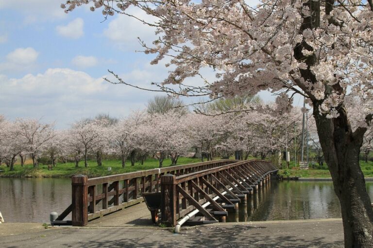 常総市