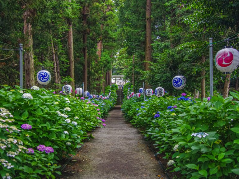 鹿沼市