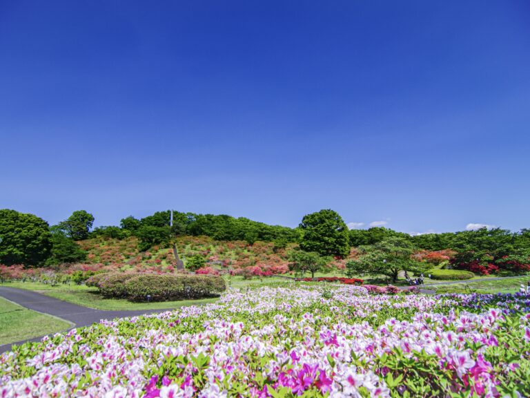 矢板市